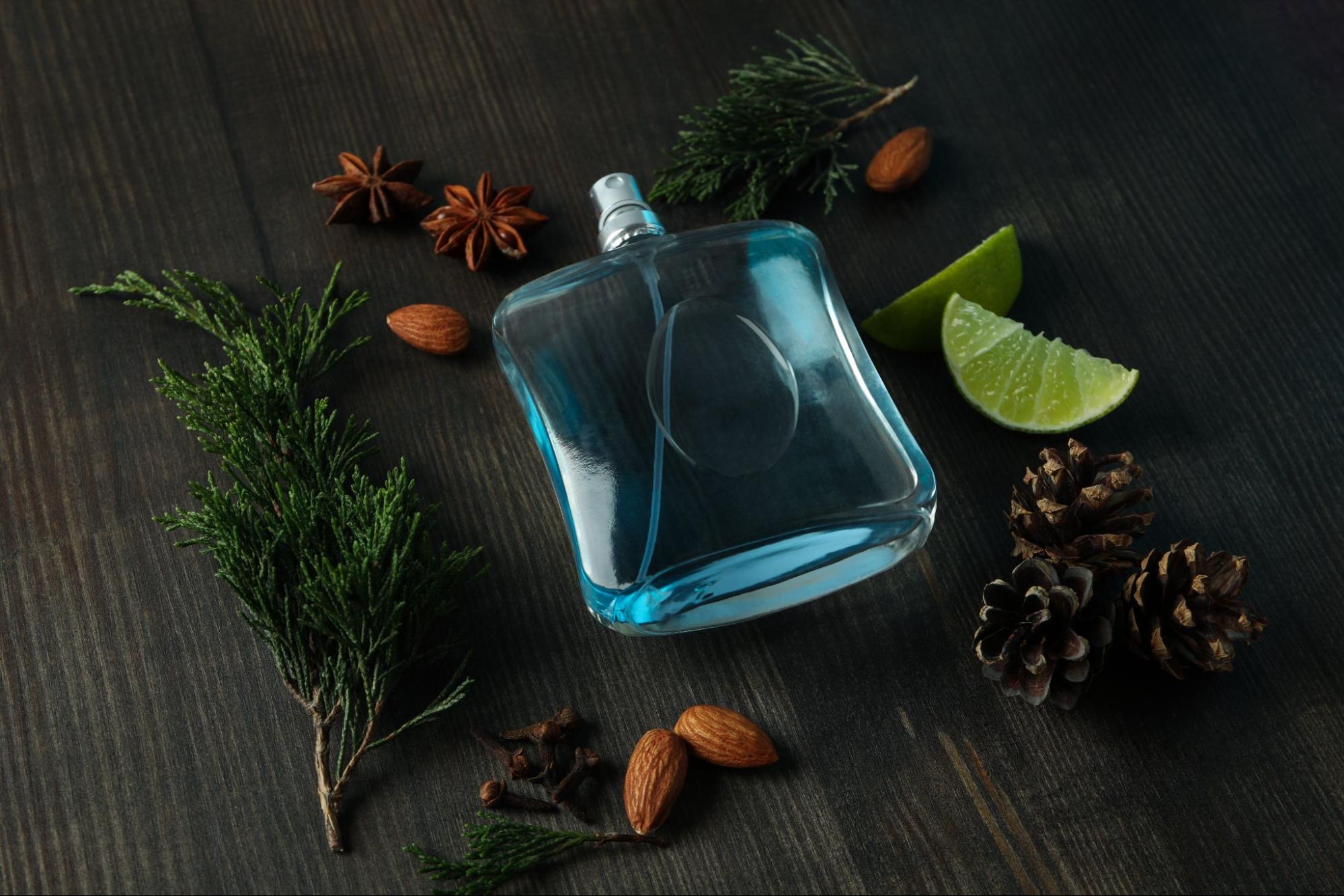 Best Smelling Aquatic Perfumes for Men – Aurel Singapore